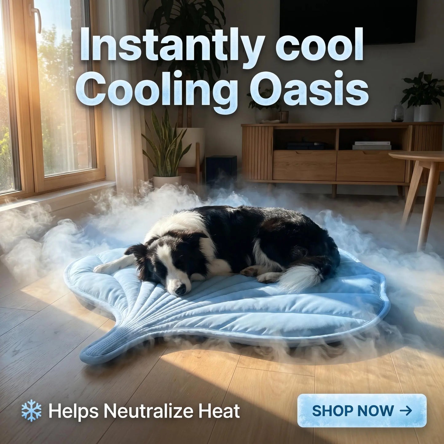 Nuzzlebox Eco-Friendly Gel-Free Cooling Pet Bed Mat - Durable, Portable, and Machine Washable Summer Solution for Cats and Small Dogs (34" x 36") for Outdoor Use