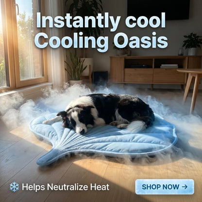Nuzzlebox Eco-Friendly Gel-Free Cooling Pet Bed Mat - Durable, Portable, and Machine Washable Summer Solution for Cats and Small Dogs (34" x 36") for Outdoor Use