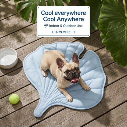 Nuzzlebox Eco-Friendly Gel-Free Cooling Pet Bed Mat - Durable, Portable, and Machine Washable Summer Solution for Cats and Small Dogs (34" x 36") for Outdoor Use