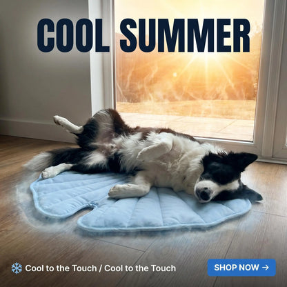 Nuzzlebox Eco-Friendly Gel-Free Cooling Pet Bed Mat - Durable, Portable, and Machine Washable Summer Solution for Cats and Small Dogs (34" x 36") for Outdoor Use
