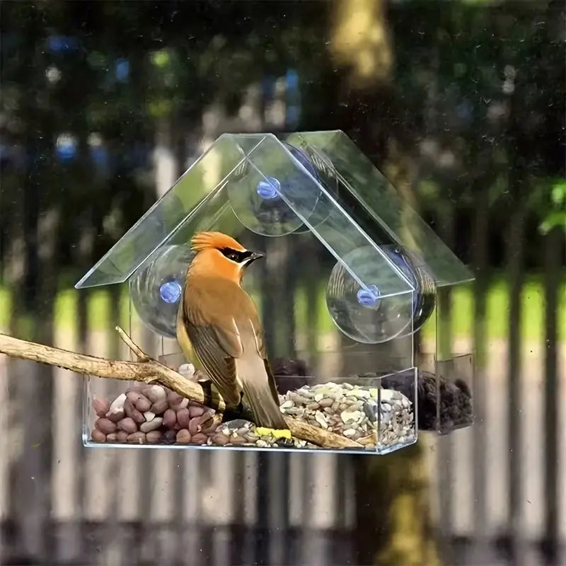 Transparent Acrylic Window Bird Feeder with Suction Cups for Outdoor Bird Watching